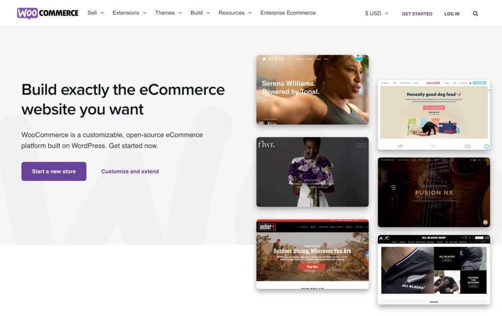WooCommerce vs Shopify: WooCommerce Main Page