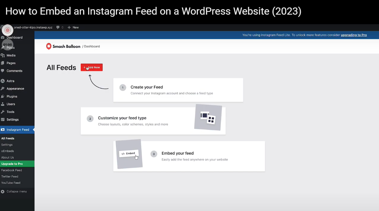 How to Embed an Instagram Feed on WordPress: Creating your feed
