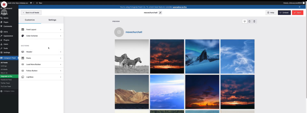 How to Embed an Instagram Feed on WordPress: Displaying your feed